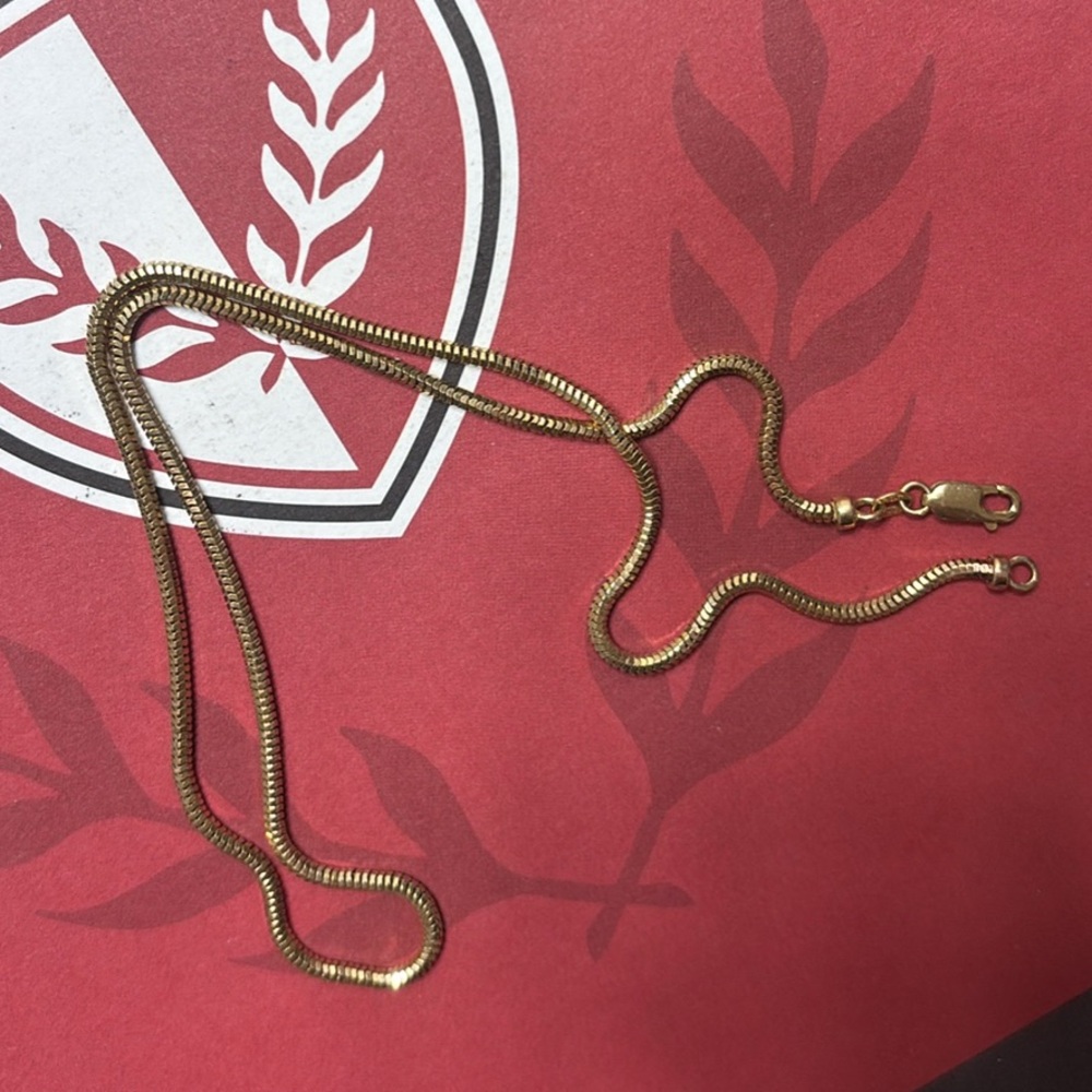 10k solid gold 2.5mm snake chain